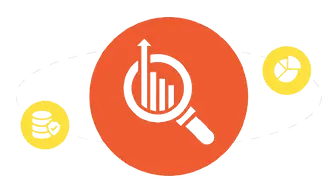 Data Analyst